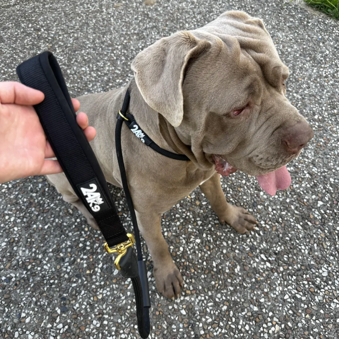 Korrection Slip Leash