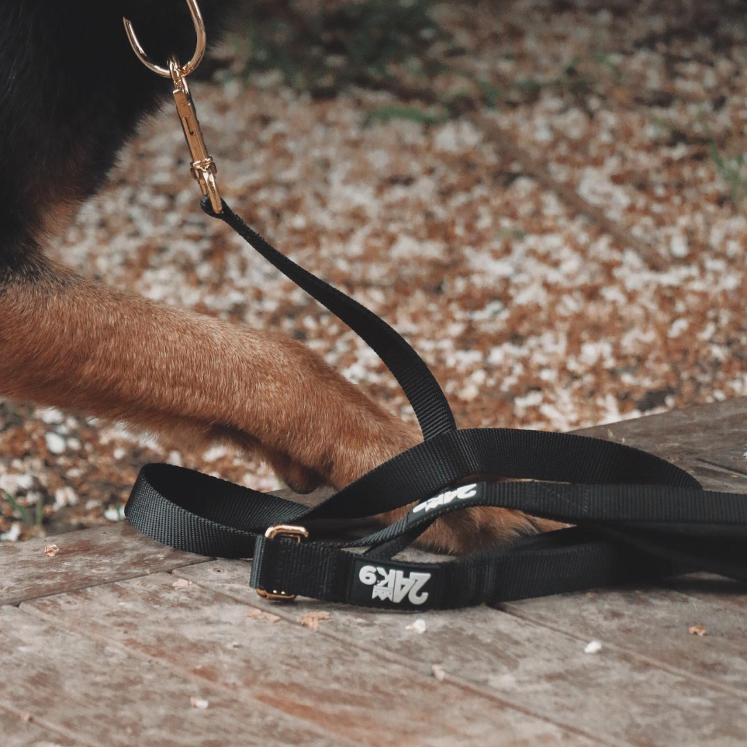 Komfort Leash